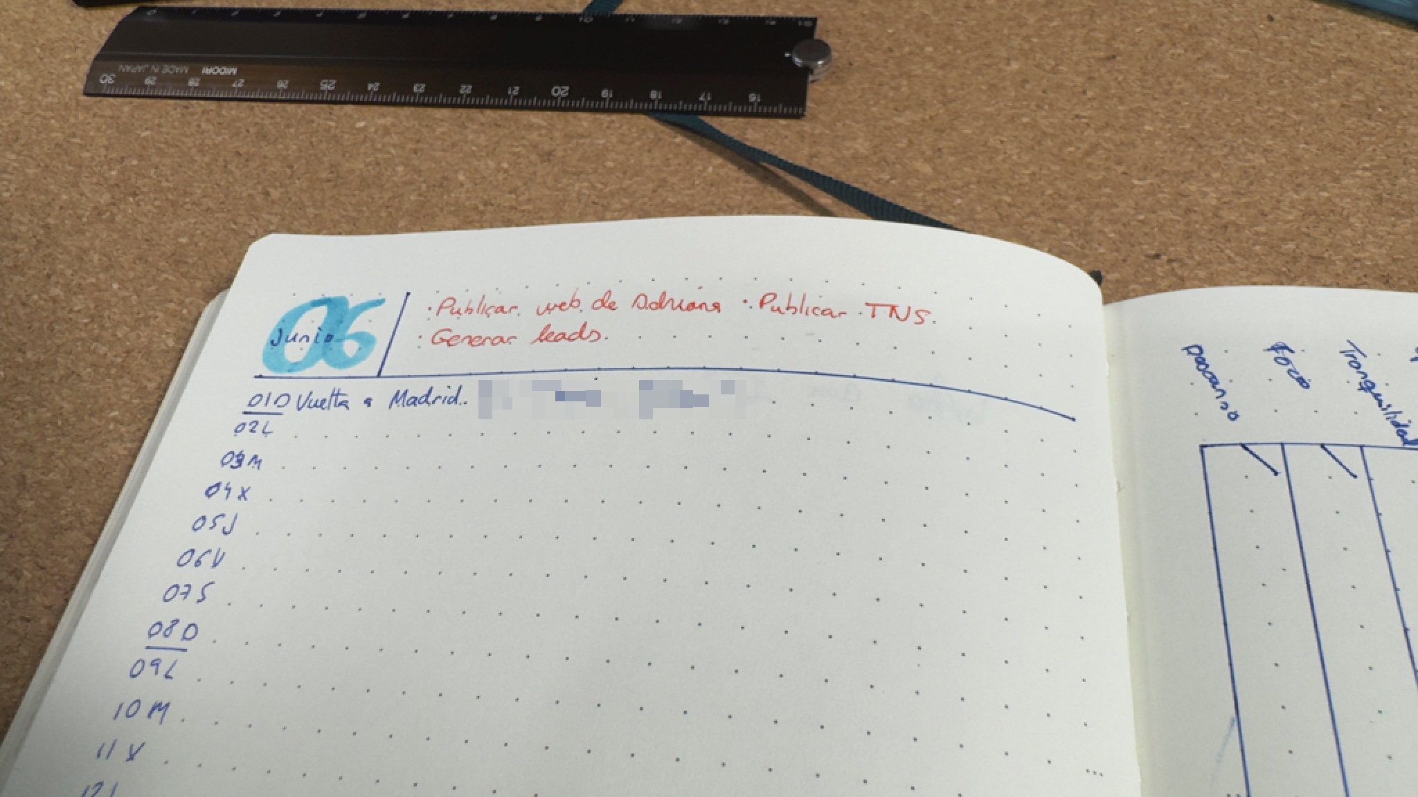 Monthly Log with Objectives