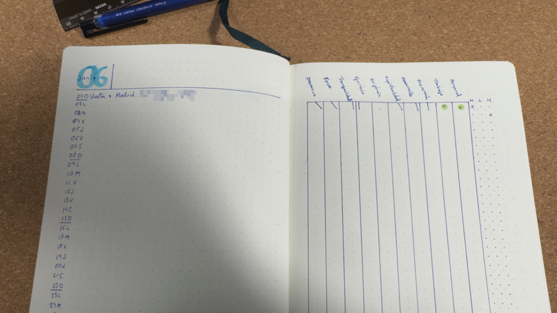 Monthly Log with Tracking